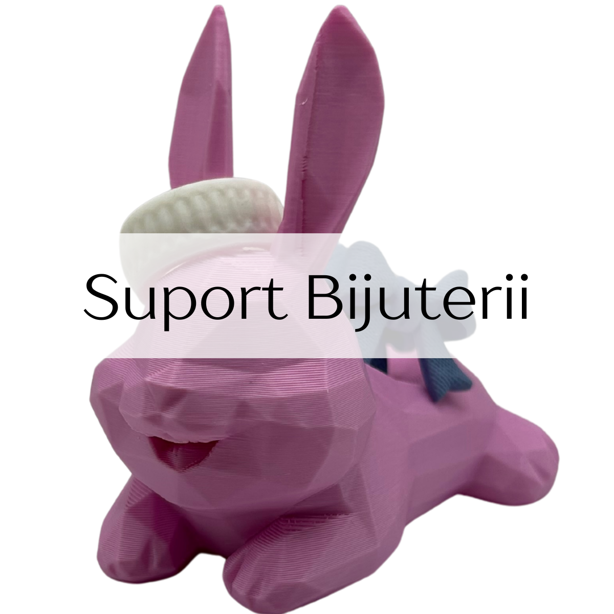 Suport Bijuterii