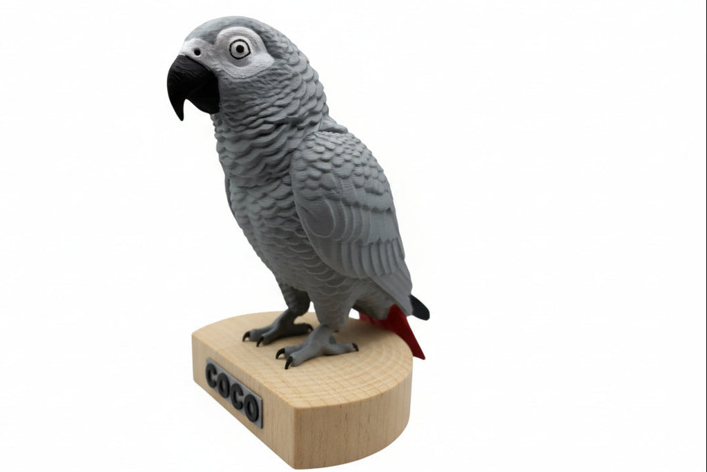 Coco - Sculptură Decorativă 3D Papagal Grey African Jako - Creatii Din Suflet
